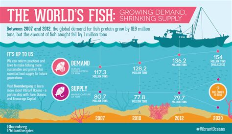 High Demand for Plakat Fish